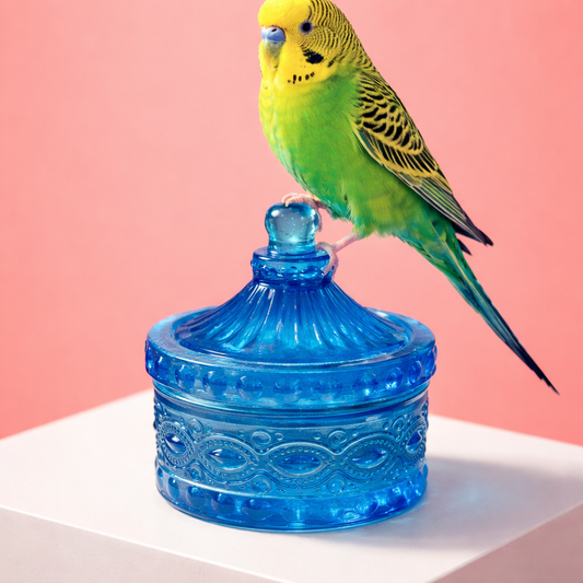 Carousel~ $25 Each ~ Collectibles for Everyone